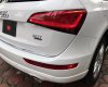 Audi Q5 Mới   TFSI 2017 - Xe Mới Audi Q5 TFSI 2017