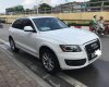 Audi Q5 Cũ   2.0T 2010 - Xe Cũ Audi Q5 2.0T 2010