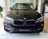 BMW X6 xDriver35i 2017 - Cần bán xe BMW X6 xDriver35i năm 2017, màu đen, xe nhập