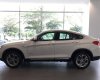 BMW X4 xDrive20i 2017 - Bán BMW X4 xDrive20i nhập khẩu Đức - 0909996626