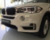 BMW X5 xDriver35i 2017 - Cần bán xe BMW X5 xDrive35i đời 2017, màu trắng, xe nhập