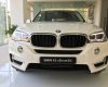 BMW X5 xDrive35i 2017 - Bán ô tô BMW X5 xDrive35i nhập khẩu Đức - 0909996626