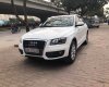 Audi Q5 Cũ   2.0 2010 - Xe Cũ Audi Q5 2.0 2010