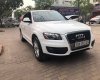 Audi Q5 Cũ   2.0 2010 - Xe Cũ Audi Q5 2.0 2010