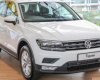 Volkswagen Tiguan E 2018 - Cần bán xe Volkswagen Tiguan E đời 2018, màu trắng, xe nhập
