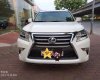 Lexus GX Cũ   460 2010 - Xe Cũ Lexus GX 460 2010