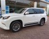 Lexus GX Cũ   460 2010 - Xe Cũ Lexus GX 460 2010