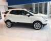 Ford EcoSport Titanium 1.5L AT 2018 - Bán Ford EcoSport Titanium 1.5L AT sản xuất 2018, màu trắng