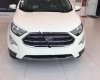 Ford EcoSport Titanium 1.5L AT 2018 - Bán Ford EcoSport Titanium 1.5L AT sản xuất 2018, màu trắng