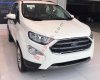 Ford EcoSport Titanium 1.5L AT 2018 - Bán Ford EcoSport Titanium 1.5L AT sản xuất 2018, màu trắng