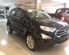 Ford EcoSport Titanium 1.0 EcoBoost 2018 - Cần bán xe Ford EcoSport Titanium 1.0 EcoBoost đời 2018, màu đen, 689tr