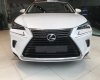 Lexus NX 300 2018 - Bán xe Lexus NX năm 2018, màu trắng, nhập khẩu nguyên chiếc