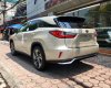 Lexus RX 350L 2018 - Bán ô tô Lexus RX 350L năm sản xuất 2018, màu vàng, nhập khẩu Mỹ LH: 0982.84.2838