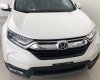 Honda CR V 2018 - Bán Honda CR-V 1.5 Turbo 2018, 7 chỗ, đủ màu lựa chọn, nhập Thái, giá từ 950 triệu. LH Mr.Thông 0888777937