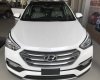 Hyundai Santa Fe 2017 - Cần bán Hyundai Santa Fe đời 2018, màu trắng