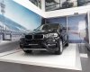 BMW X6 Mới   XDRIVE35i 2017 - Xe Mới BMW X6 XDRIVE35i 2017