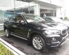 BMW X6 Mới   XDRIVE35i 2017 - Xe Mới BMW X6 XDRIVE35i 2017