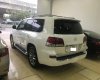 Lexus LX5700 2013 - Cần bán Lexus LX570 xuất Mỹ, sản xuất 2013, model 2014 tên tư nhân biển Hà Nội