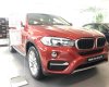 BMW X6 2017 - Bán ô tô BMW X6 sản xuất năm 2017, màu đỏ, nhập khẩu - 0901214555