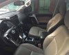 Toyota Land Cruiser Prado 4.0 VXL 2010 - Bán xe Toyota Prado 4.0 VXL năm sản xuất 2010, màu trắng, chính chủ