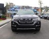 BMW X4 xDriver20i 2017 - Cần bán BMW X4 xDriver20i đời 2017, màu đen, xe nhập, giá tốt