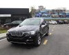 BMW X4 xDriver20i 2017 - Cần bán BMW X4 xDriver20i đời 2017, màu đen, xe nhập, giá tốt