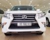 Lexus GX Cũ   460 Luxury 2015 - Xe Cũ Lexus GX 460 Luxury 2015