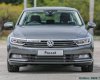 Volkswagen Passat   2018 - Xe Passat Bluemotion 2018 hoàn toàn mới   
