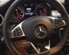 Mercedes-Benz CLA class  2.0 AT  2017 - Bán xe Mercedes Benz GLA 2.0 AT 2017, chính chủ 