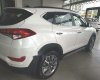 Hyundai Tucson  2.0 AT 2018 - Cần bán xe Hyundai Tucson 2.0 AT đời 2018, màu trắng