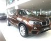 BMW X3 AT 2017 - Bán ô tô BMW X3 năm 2017, nhập khẩu nguyên chiếc, chính hãng. Chính sách bán hàng cực kì tốt