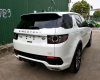 LandRover Discovery 2017 - Bán LandRover Discovery đời 2017, màu trắng, nhập khẩu nguyên chiếc