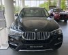 BMW X4  xDrive20i 2017 - Bán xe BMW X4 xDrive20i mới 100%, xe nhập khẩu chính hãng từ Đức, có xe giao ngay