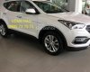 Hyundai Santa Fe 2017 - Bán xe Hyundai SantaFe có sẵn tại cửa hàng, hỗ trợ vay 90% đến 7 năm