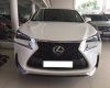 Lexus NX Cũ 2016 - Xe Cũ Lexus NX 2016