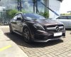 Mercedes-Benz GL Cũ Mercedes-Benz A 45 AMG 2015 - Xe Cũ Mercedes-Benz GLA 45 AMG 2015