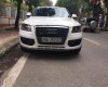 Audi Q5 Cũ   2.0 2010 - Xe Cũ Audi Q5 2.0 2010