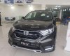 Honda CR V E 2018 - Bán Honda CR-V tại Đắk Lắk giá 963 triệu - LH 0918424647