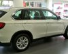 BMW X5 Mới   XDrive35i 2018 - Xe Mới BMW X5 XDrive35i 2018