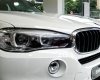 BMW X5 Mới   XDrive35i 2018 - Xe Mới BMW X5 XDrive35i 2018