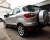 Ford EcoSport Titanium 2018 - Bán ô tô Ford EcoSport Titanium đời 2018, màu bạc, giá chỉ 648 triệu