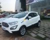 Ford EcoSport  Trend  2018 - Bán Ford EcoSport Trend sản xuất năm 2018, màu trắng, giao ngay