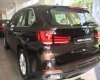 BMW X5 Mới   XDrive35i 2018 - Xe Mới BMW X5 XDrive35i 2018