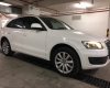 Audi 200 Cũ  Q5 2.0AT 9 2009 - Xe Cũ Audi Q5 2.0AT 2009