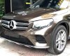 Mercedes-Benz GL Cũ Mercedes-Benz C 300 2017 - Xe Cũ Mercedes-Benz GLC 300 2017