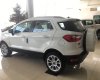 Ford EcoSport 1.0 Ecoboost  2018 - Hãng xe Ford tại Lào Cai bán Ford EcoSport 1.0 Ecoboost đời 2018, màu trắng, giao ngay LH: 0941.921.742