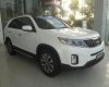 Kia Sorento 2018 - Bán ô tô Kia Sorento 2018, màu trắng, giá 799tr