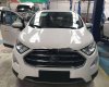 Ford EcoSport 2018 - Cần bán Ford EcoSport đời 2018, màu trắng
