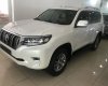 Toyota Prado 2.7 VX 2017 - Bán ô tô Toyota Prado VX mới 100% màu trắng, giá tốt nhập khẩu