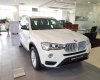 BMW X3 XDrive20i 2017 - Bán BMW X3 đời 2017 màu trắng chính hãng, giá 1 tỷ 999 triệu, nhập khẩu mới 100%